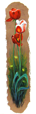 Field Tulips