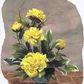 Floral-Yellow-Peony