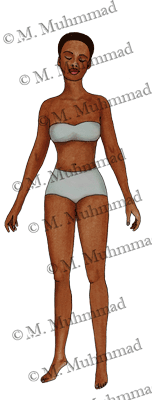 Paper-Doll